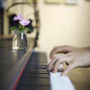 小马拉大车吃童子鸡外网网站
